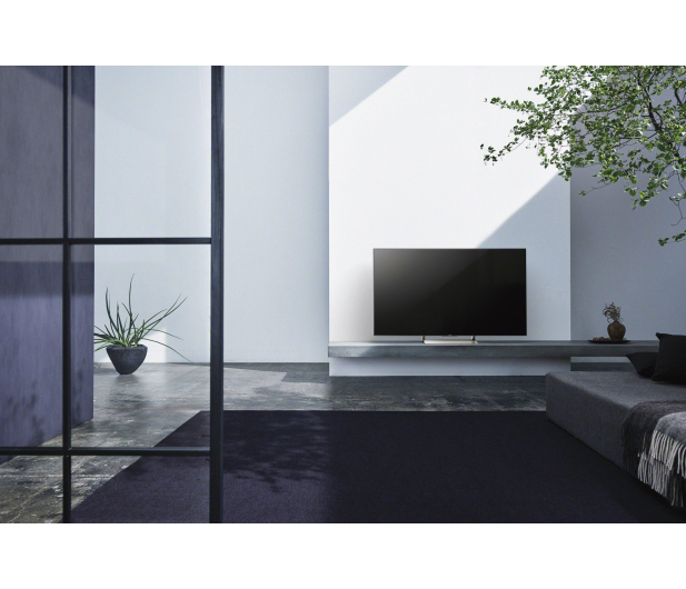 Sony KD65XE9005 - 1403287 - zdjęcie 8